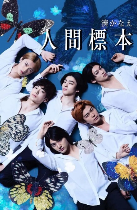 精品超模七天精品探花美乳小姐姐外表文静乖巧 - 全站免费网